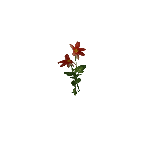 Flower 2 (Type 6)